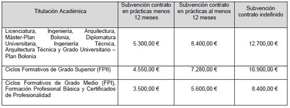 cuantía ayudas contratacion jovenes empresas vascas