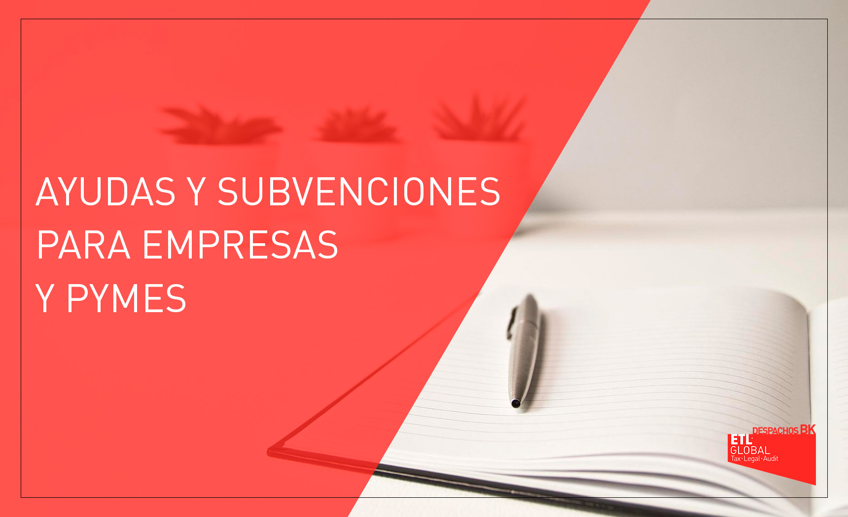 AYUDAS Y SUBVENCIONES PARA EMPRESAS Y PYMES