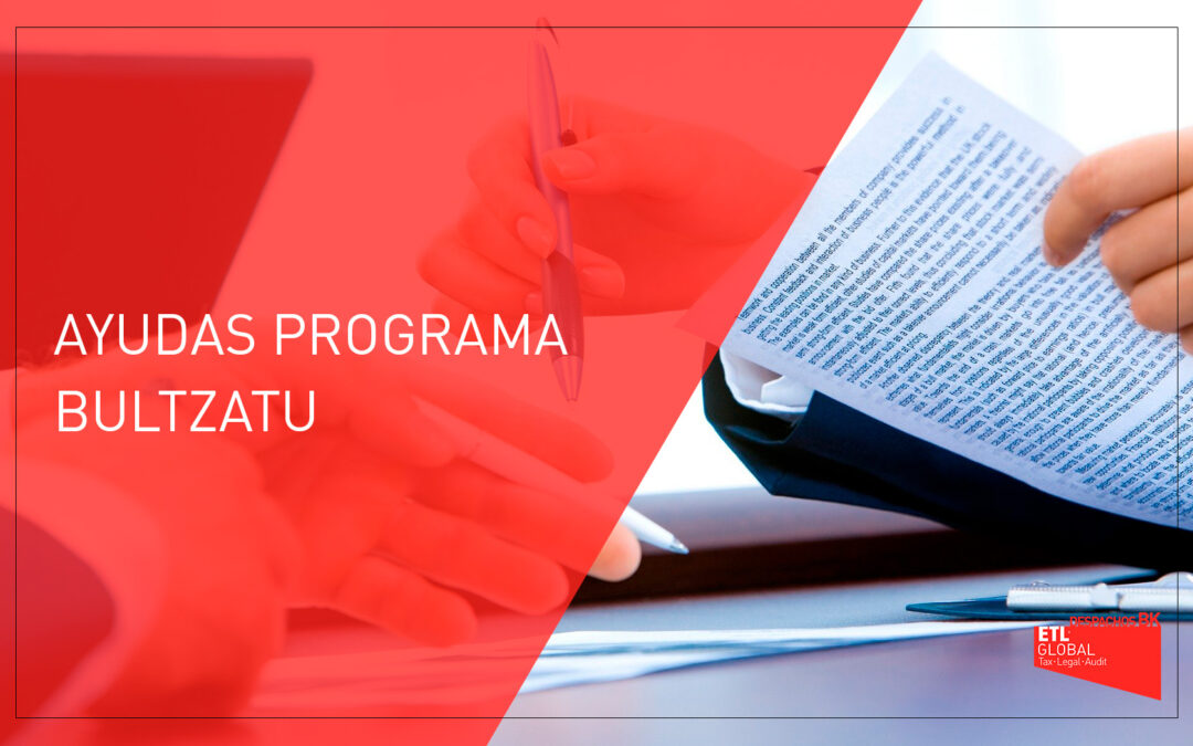 Ayudas programa BULTZATU