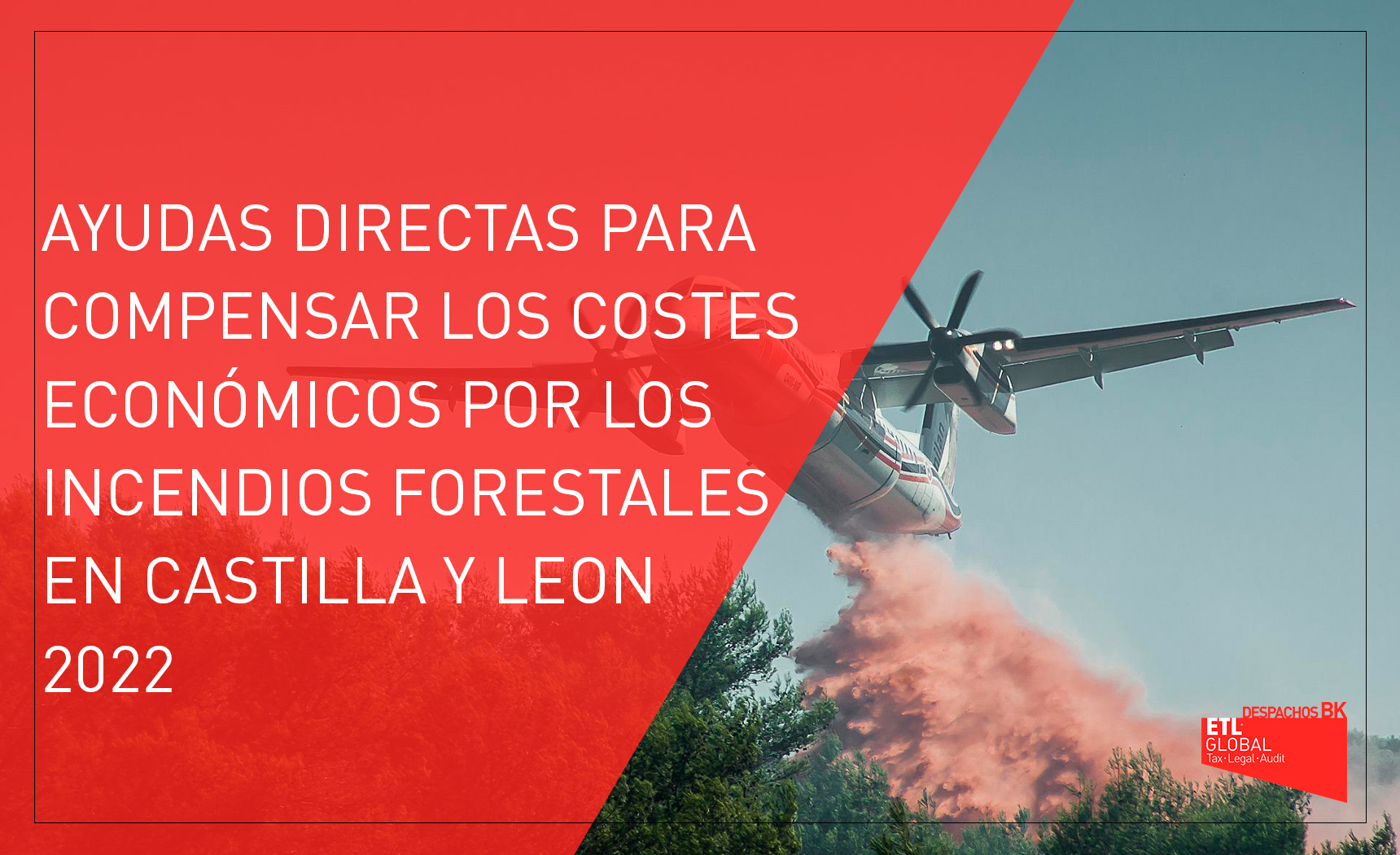 AYUDAS INCENDIOS 2022