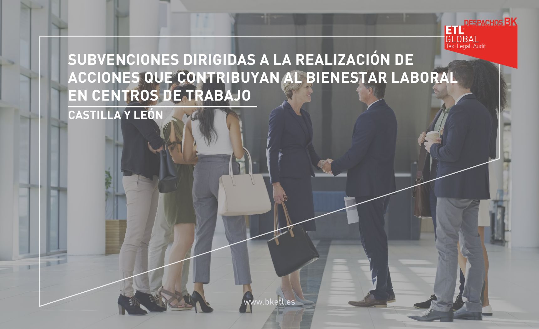 SUBVENCIONES DIRIGIDAS A LA REALIZACIÓN DE ACCIONES QUE CONTRIBUYAN AL BIENESTAR LABORAL EN CENTROS DE TRABAJO CASTILLA Y LEON