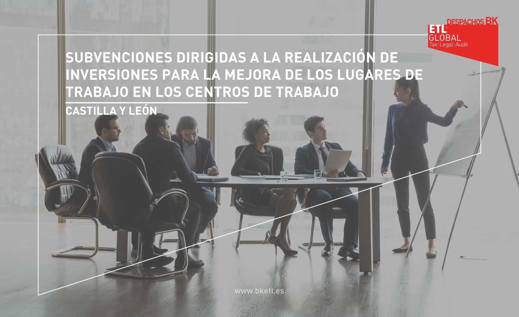 SUBVENCIONES DIRIGIDAS A LA REALIZACIÓN DE INVERSIONES PARA LA MEJORA DE LOS LUGARES DE TRABAJO EN LOS CENTROS DE TRABAJO DE CASTILLA Y LEÓN SUBVENCIONES DIRIGIDAS A LA REALIZACIÓN DE INVERSIONES PARA LA MEJORA DE LOS LUGARES DE TRABAJO EN LOS CENTROS DE TRABAJO DE CASTILLA Y LEÓN