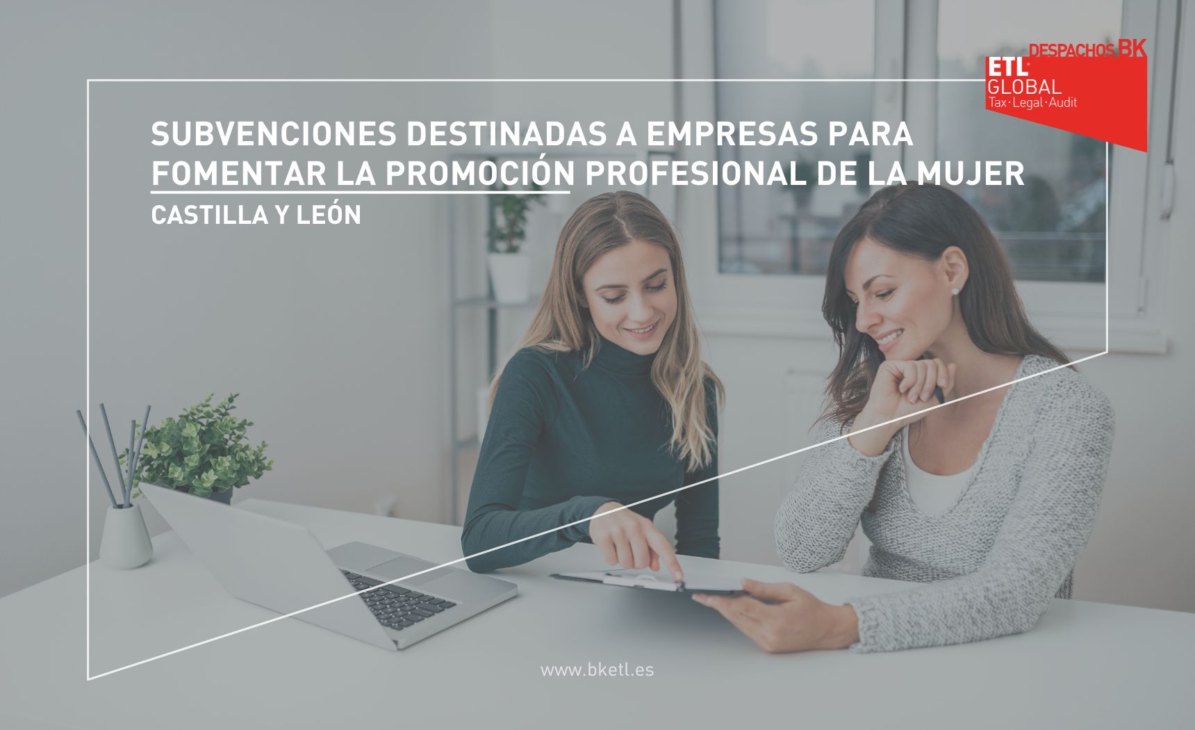 Subvenciones destinadas a empresas para fomentar la promoción profesional de la mujer castilla y leon Subvenciones empresas fomentar promoción profesional de la mujer castilla y leon